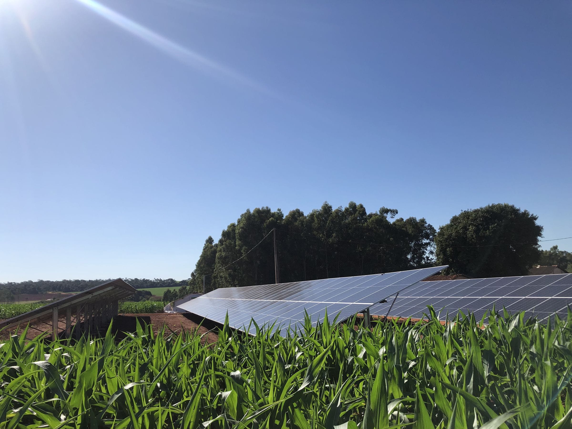 Usina solar em solo instalada pela Agiliza em área de lavoura